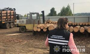 На Львівщині повідомили про підозру групі, яка організувала схему незаконних порубок деревини в угіддях Національного природного парку (ФОТО)