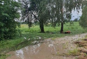 Від удару блискавки загинуло двоє людей на Черкащині (фото)