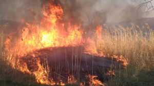 На Львівщині попереджають про високу пожежну небезпеку