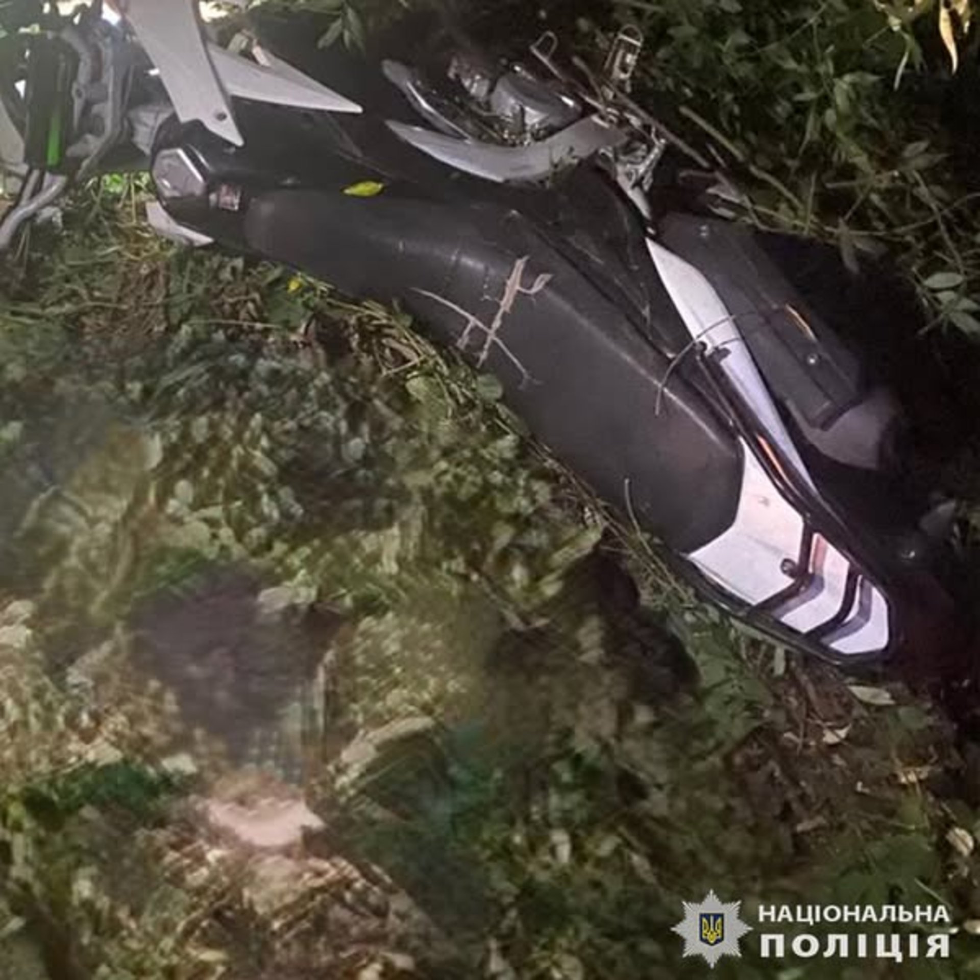 Фото: ГУНП у Львівській області