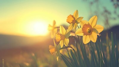 Якою буде погода у Львові та області завтра, 28 квітня