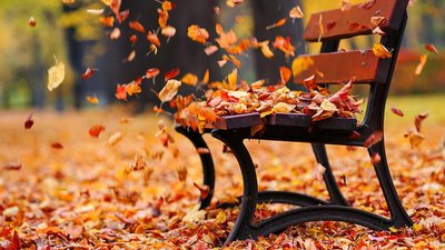 Якою буде погода у Львові та області завтра, 26 жовтня