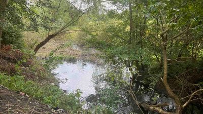 Біля Львова цього року розчистять русла найкритичніших річок