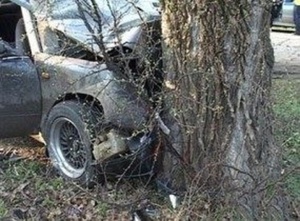 На Львівщині водій автомобіля з’їхав в кювет та зіткнувся з деревом