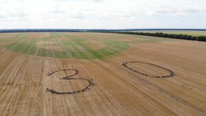 Фермери висіяли величезний тризуб, який внесли до реєстру як національний рекорд України (ФОТО)