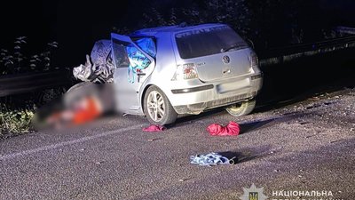 На Стрийщині у ДТП з вантажівкою загинула водійка Volkswagen