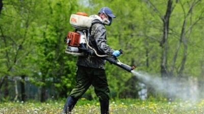 Львівські парки незабаром оброблятимуть від кліщів: оновлений графік