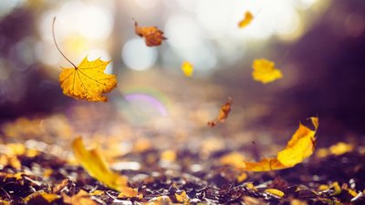 Якою буде погода у Львові та області завтра, 7 листопада