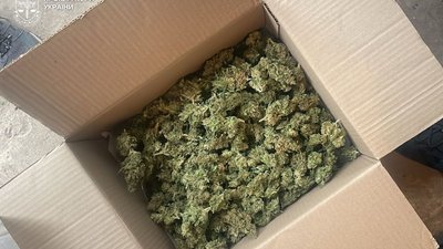 На Львівщині 77-річна жінка зі сином вирощували вдома коноплю