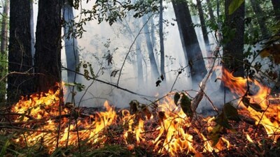 Увага! Надзвичайники попереджають про високу пожежну небезпеку на Львівщині