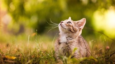 Якою буде погода у Львові та області завтра, 7 березня