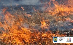 17 пожеж за останній місяць: львів’ян застерігають — випалювання сухої рослинності призводить до загибелі всього живого