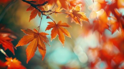 Якою буде погода у Львові та області завтра, 5 листопада