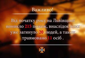 20 людей загинули від початку року на пожежах на Львівщині