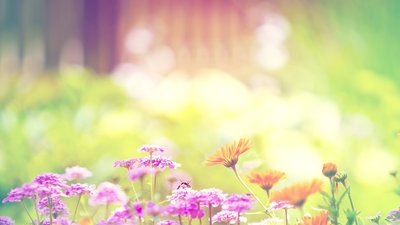 Якою буде погода у Львові та області завтра, 5 червня