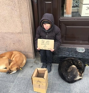 У Львові жінка, яка використовує собак в цілях жебракування, напала на небайдужу