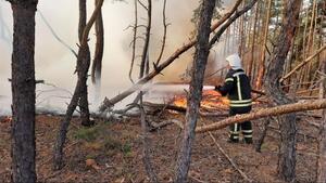 На Луганщині черговий підпал: чути вибухи, вогонь наближається до електропідстанцій