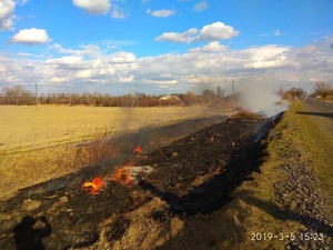 Прибирали територію: на Львівщині затримали хуліганів, які палили суху траву (фото)