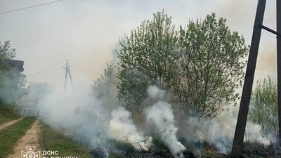 За добу на Львівщині сталося майже 20 пожеж сухої трави