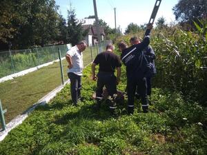 На Львівщині з криниці врятували собаку (фото, відео)