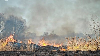 На Львівщині за добу зафікосвано 10 пожеж сухої трави