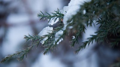 Якою буде погода у Львові та області завтра, 11 лютого