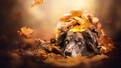 Якою буде погода у Львові та області завтра, 15 листопада