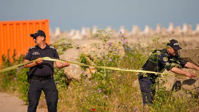 У Румунії виявили дрон із бойовою частиною