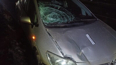 У Львівському районі водій автомобіля наїхав на жінку: потерпіла померла у кареті "швидкої" (ФОТО)