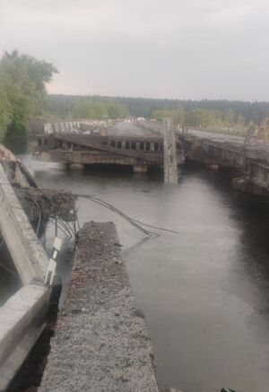 Під Києвом, внаслідок удару блискавки, зруйновано міст: є загиблий (ФОТО)