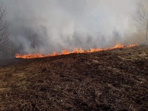 На Закарпатті чоловік підпалив гектар лісу (фото)