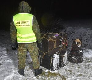 На кордоні з Польщею в українців виявлено велику партію бурштину