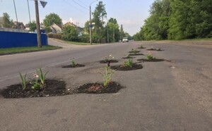 Не витримали: волиняни «уквітчали» вибоїни на дорозі (фото)