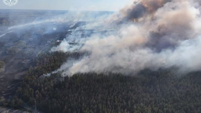На Харківщині судитимуть рибалку через масштабну пожежу в заповіднику
