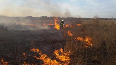 На Харківщині жінка згоріла живцем, коли палила суху траву