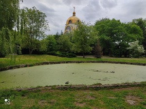 Львів'яни просять очистити озеро в парку Боднарівка (фото)