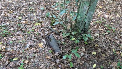 У Львові перехожі знайшли артилерійський снаряд і гранату РГД-33