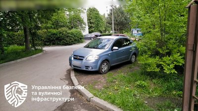 У Львові назвали вулиці-лідери з паркування на газонах (ФОТО)