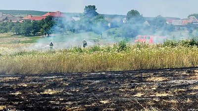 На Закарпатті загинула жінка, яка спалювала сміття