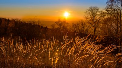 Якою буде погода у Львові та області завтра, 20 жовтня