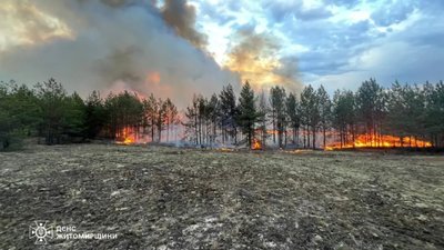 Масштабні лісові пожежі тривають у кількох регіонах, у тому числі у Чорнобильській зоні