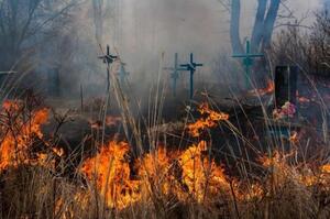 На Львівщині сталася пожежа на цвинтарі