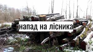 У Дрогобичі зловмисники напали на лісничого (відео)