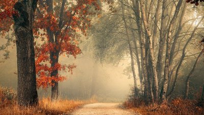 Якою буде погода у Львові та області завтра, 19 грудня