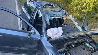 На Львівщині сталася смертельна ДТП через лося, який вибіг на трасу