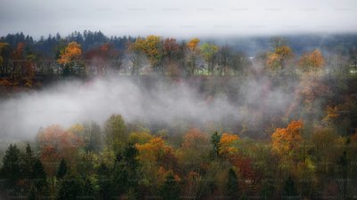 Якою буде погода у Львові та області завтра, 7 жовтня