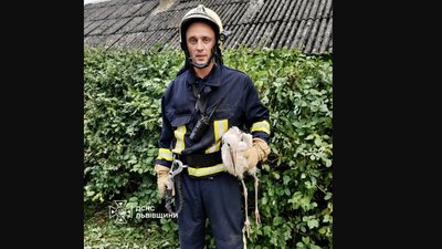 У Львівській області надзвичайники врятували родину лелек