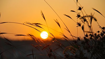 Якою буде погода у Львові та області завтра, 18 травня