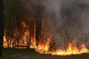 Мешканців Львівщини закликають не допускати самовільного випалювання сухої трави