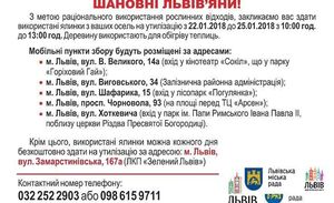 Від сьогодні у Львові приймають використані ялинки на утилізацію